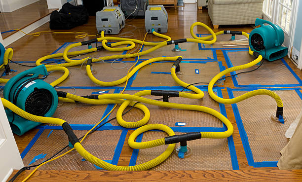 Professional Structural Drying And Dehumidification technician working in Mount Hope, OH